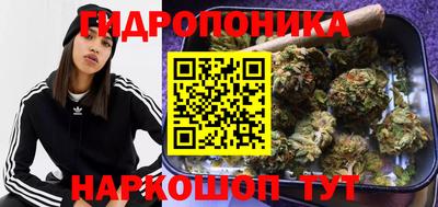 крисы Бузулук