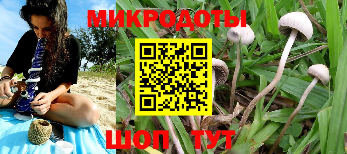 Галлюциногенные грибы Psilocybe  Псилоцибиновые грибы мухоморы  Тавда  Вход с VPN 